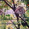 leaded glass window